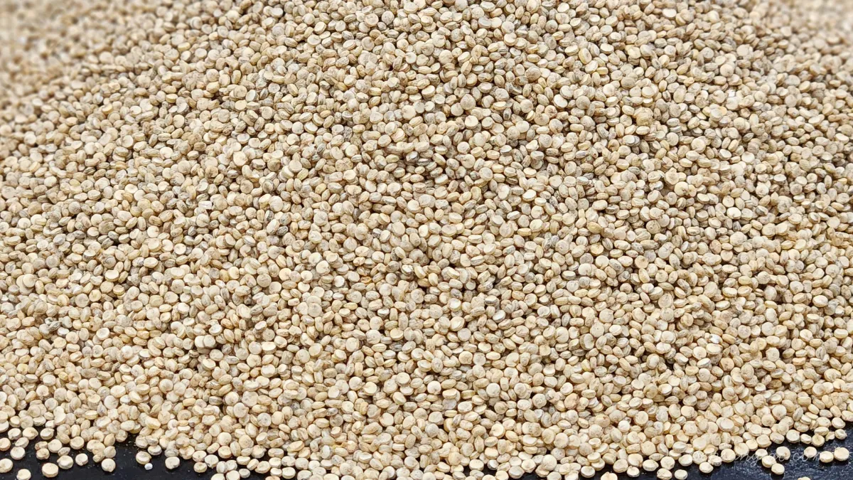 diêm mạch trắng