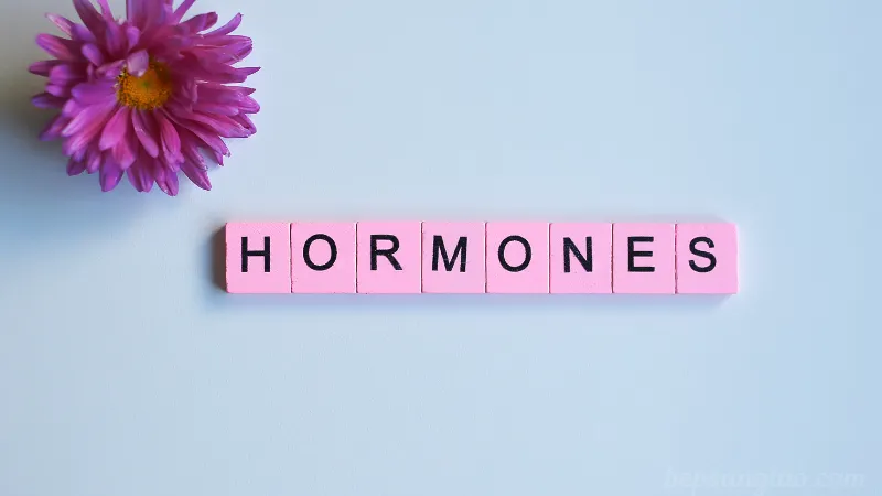 Hormone Là Gì