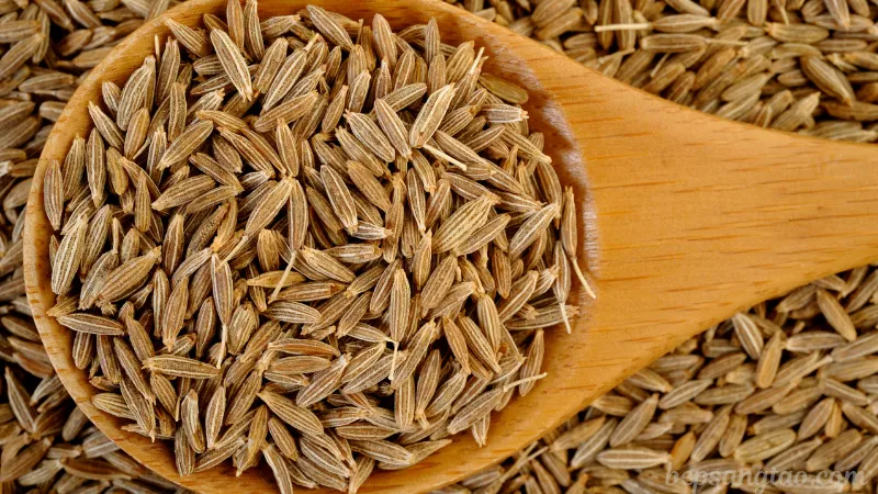 Hạt Thì Là Ấn Độ (Cumin)