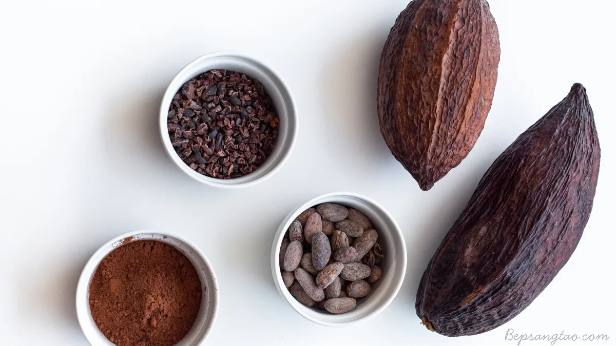 các sản phẩm từ cacao