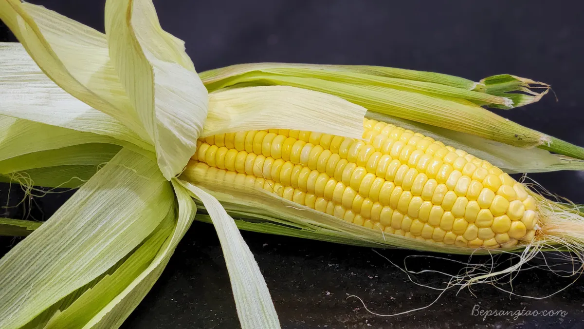 giá trị dinh dưỡng của bắp
