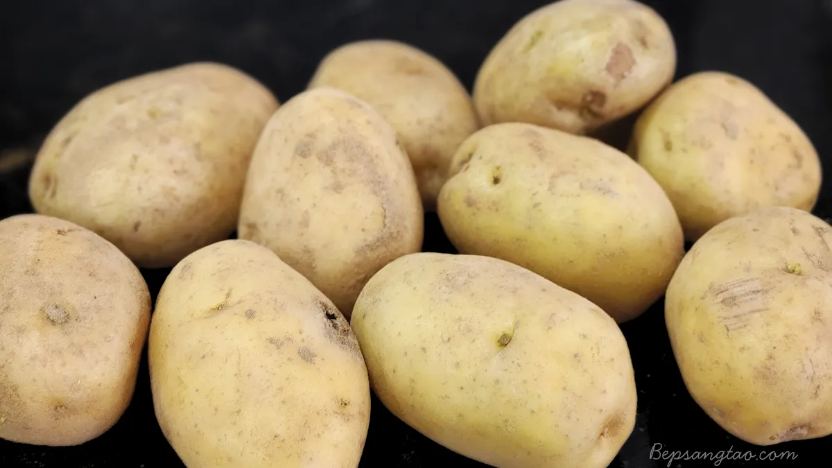 khoai tây