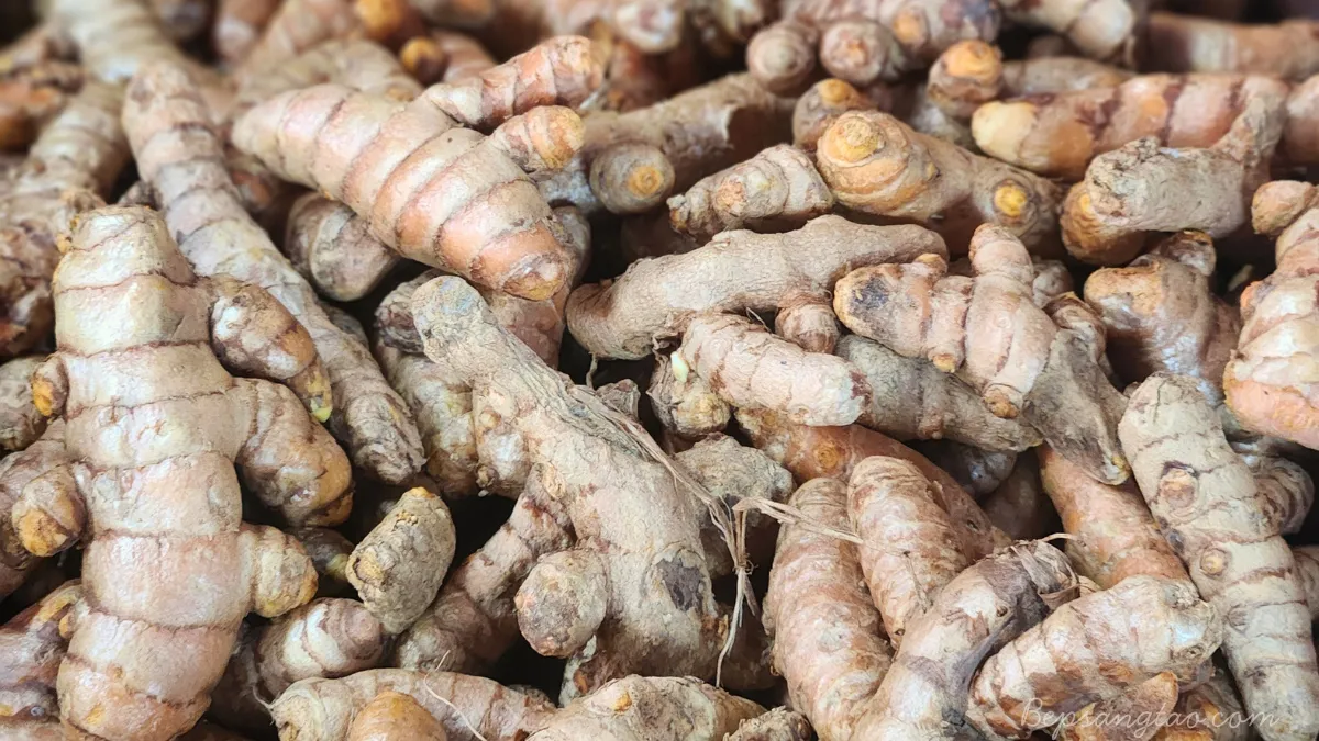 nghệ
