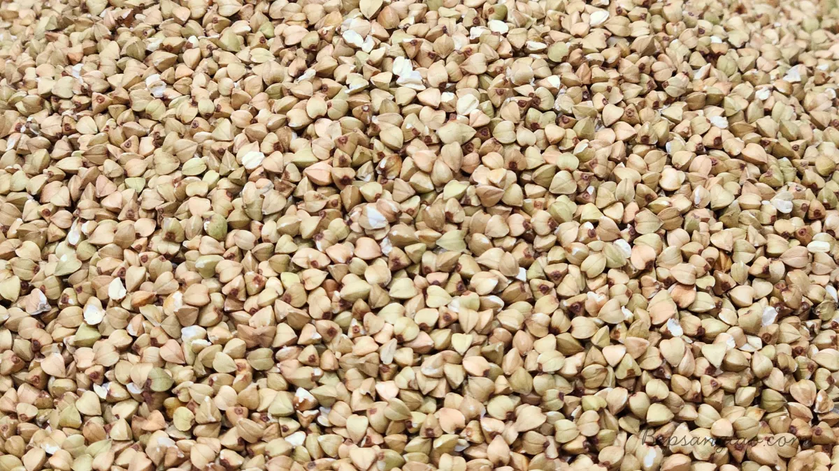 hạt kiều mạch (2)
