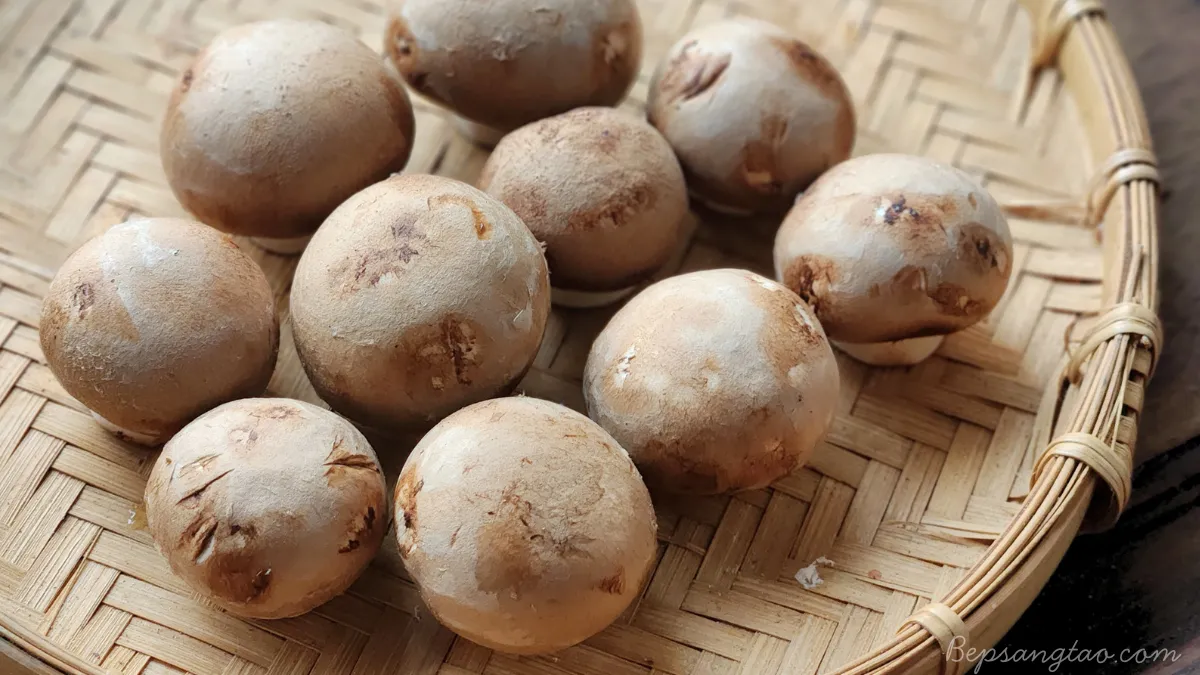nấm