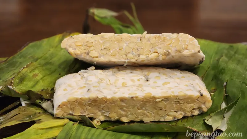 tempeh (3)