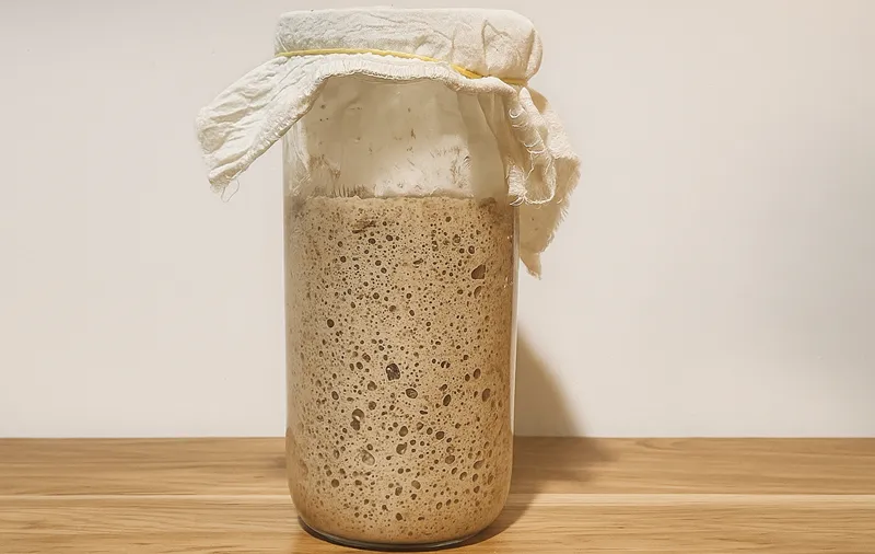 Sourdough Stater Nguyên Cám