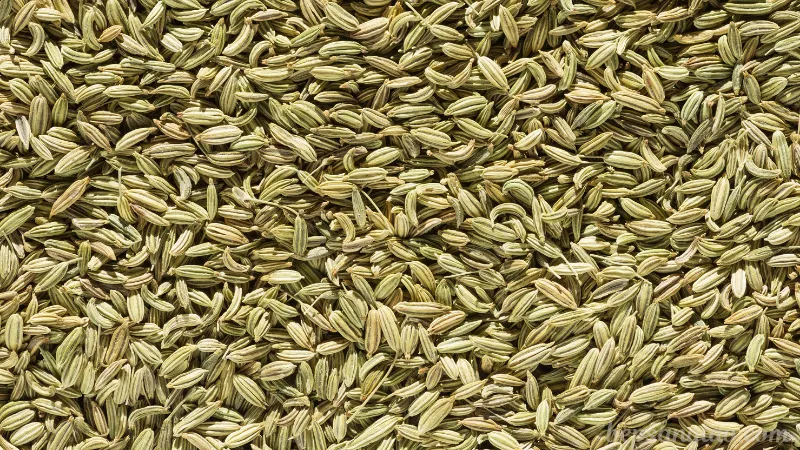 Tiểu Hồi