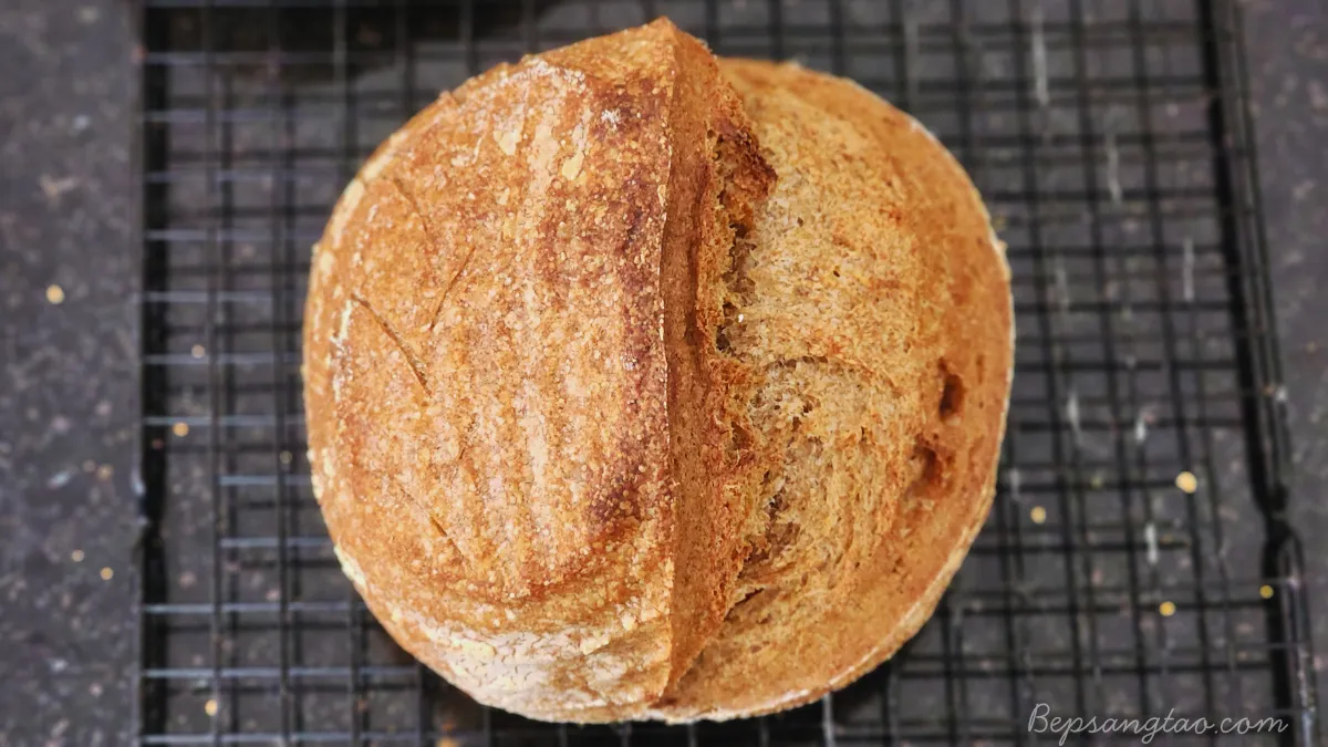 bánh mì sourdough nguyên cám