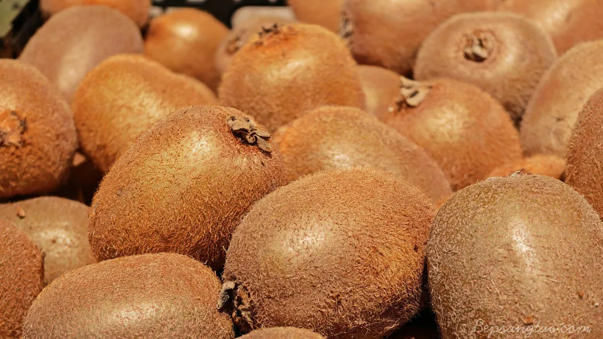 kiwi