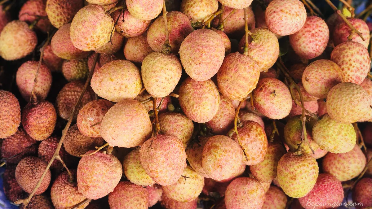 quả vải