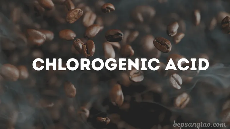 Chlorogenic Acid