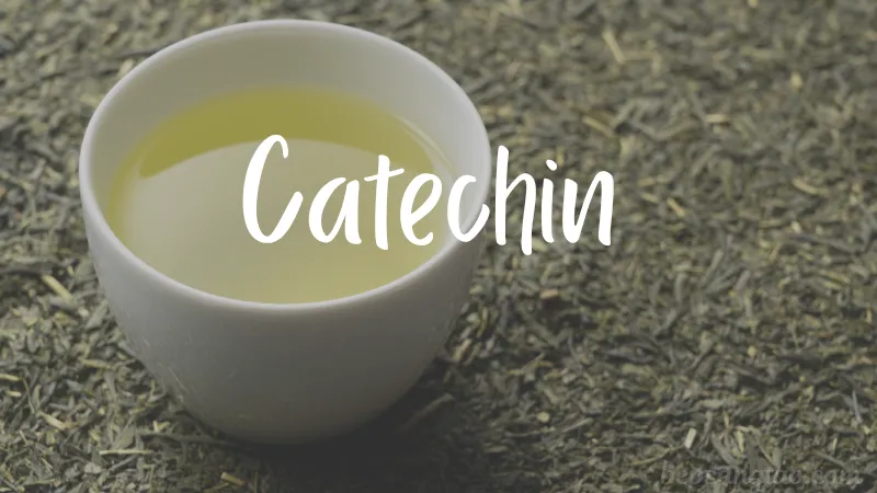 catechin