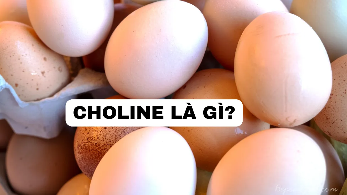 CHOLINE Là Gì?