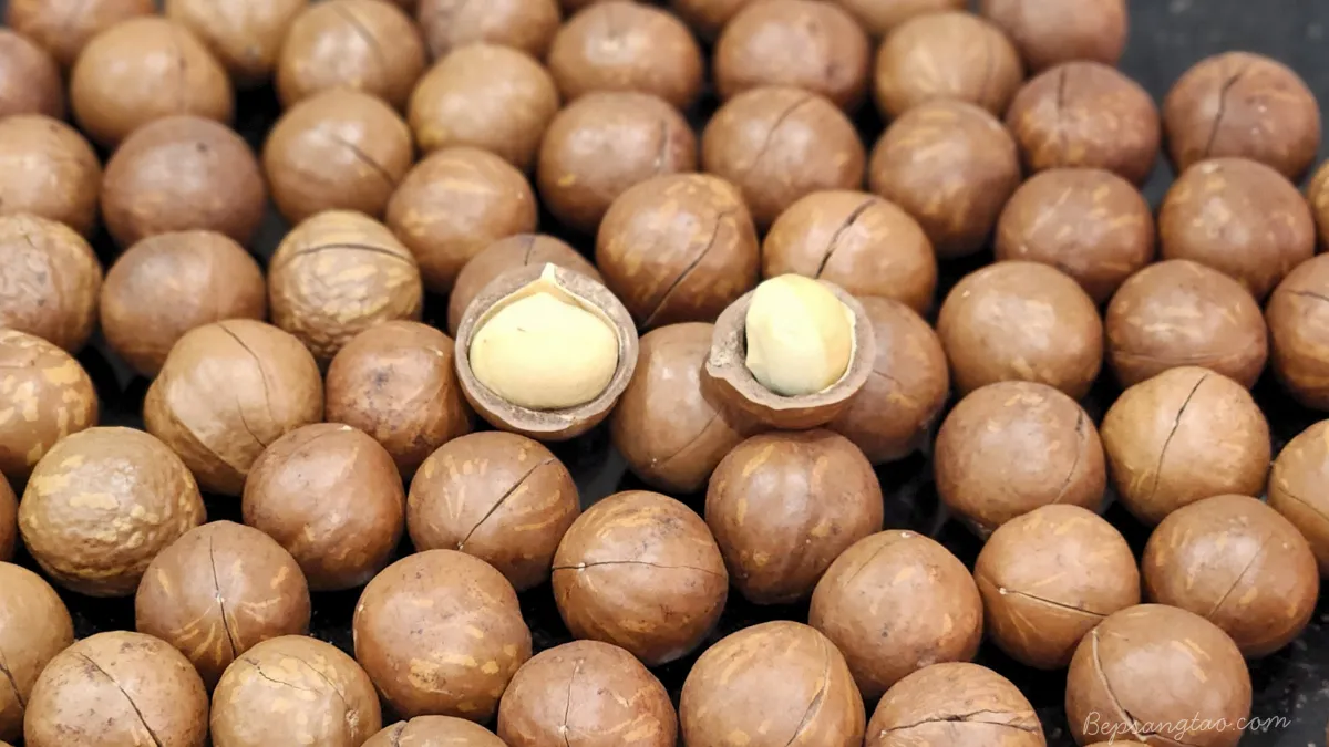 macadamia