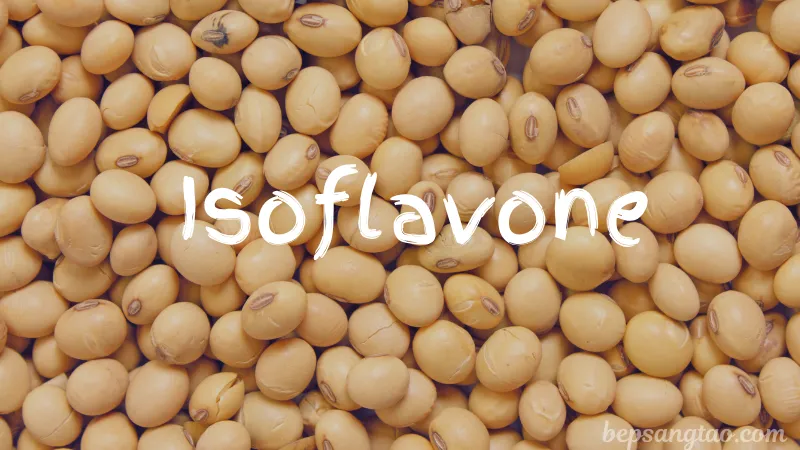 isoflavone