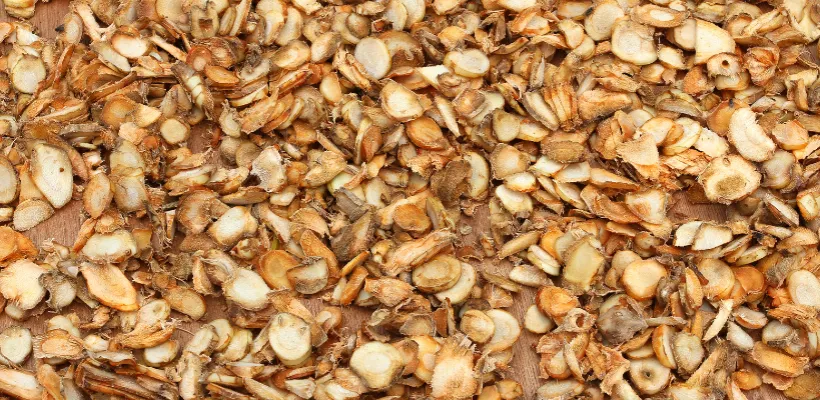Cách Phơi Khô Gia Vị & Thảo Mộc