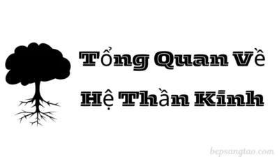 hệ thần kinh