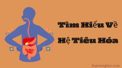 hệ tiêu hóa