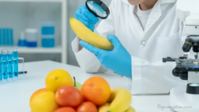 hóa chất trong thực phẩm