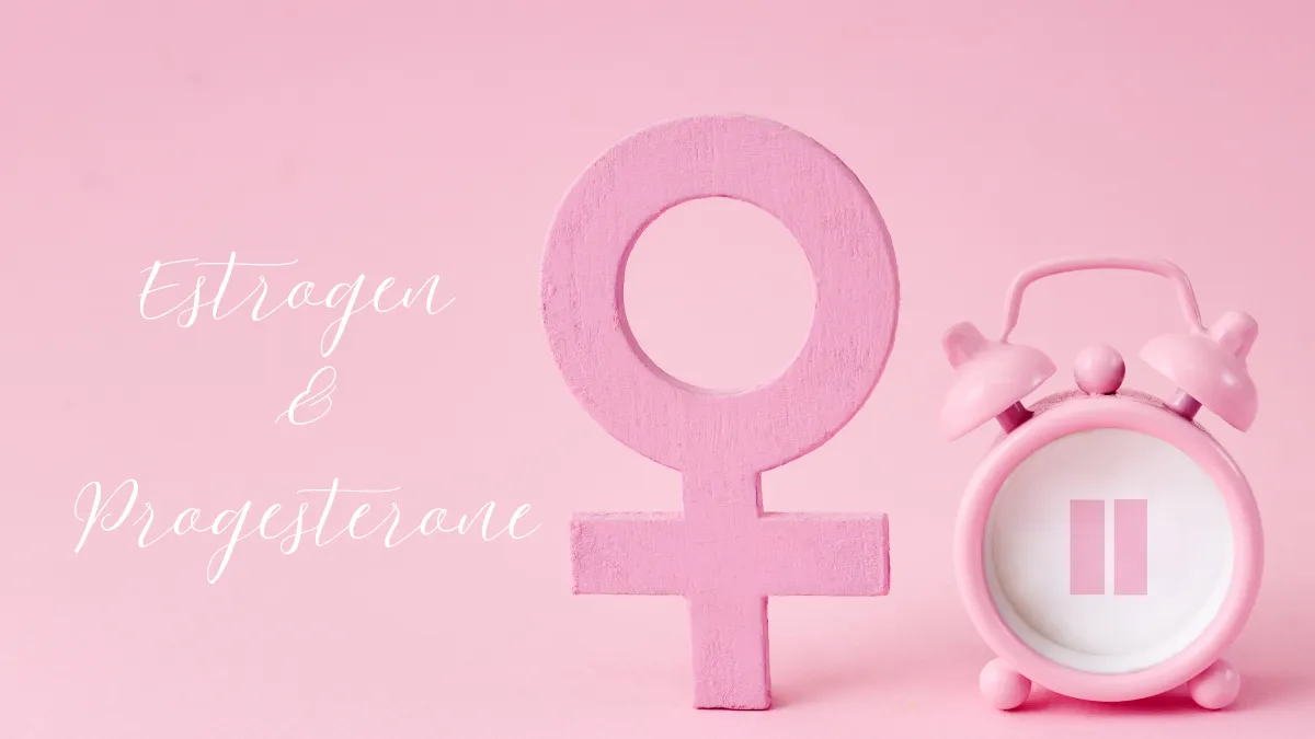 Estrogen & Progesterone