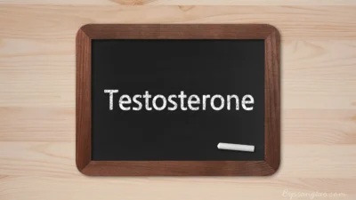 Testosterone
