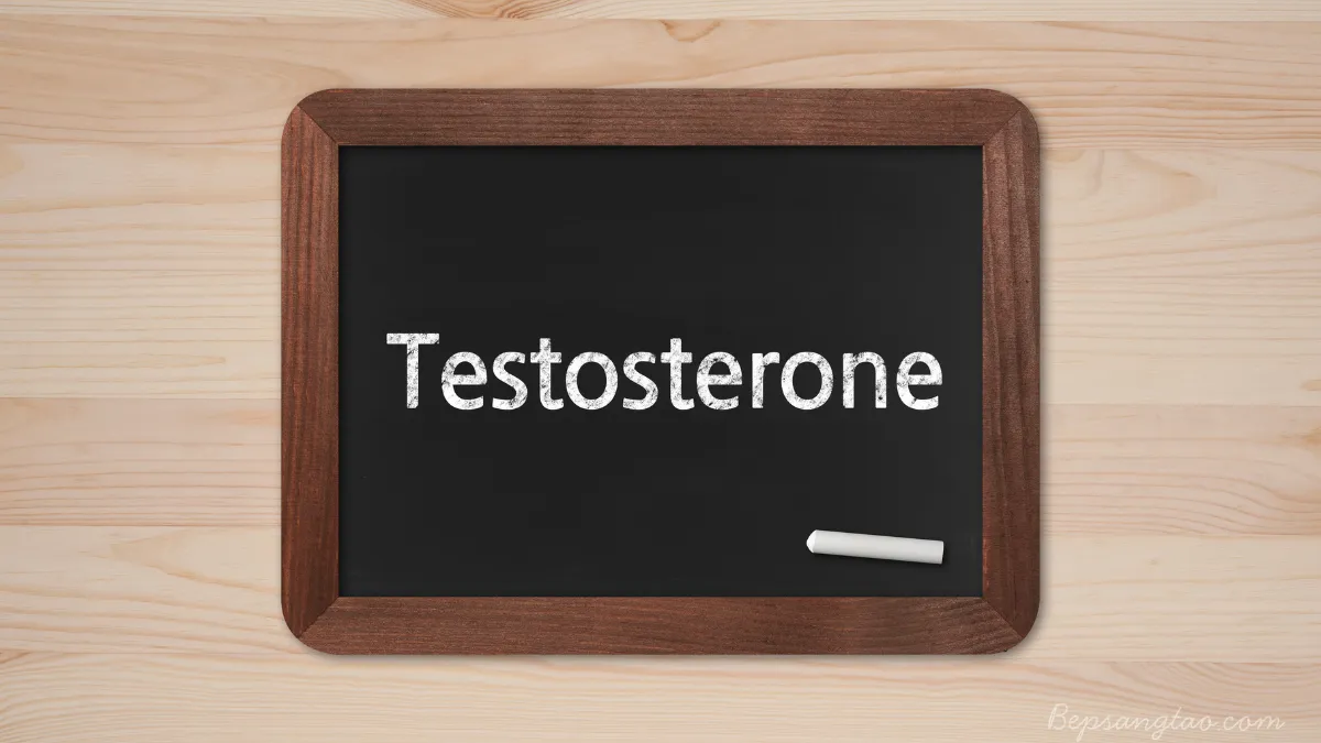 Testosterone