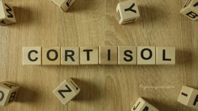 cortisol