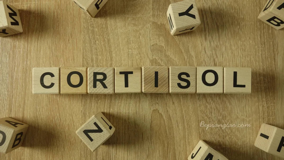 Cortisol – Hormone Căng Thẳng