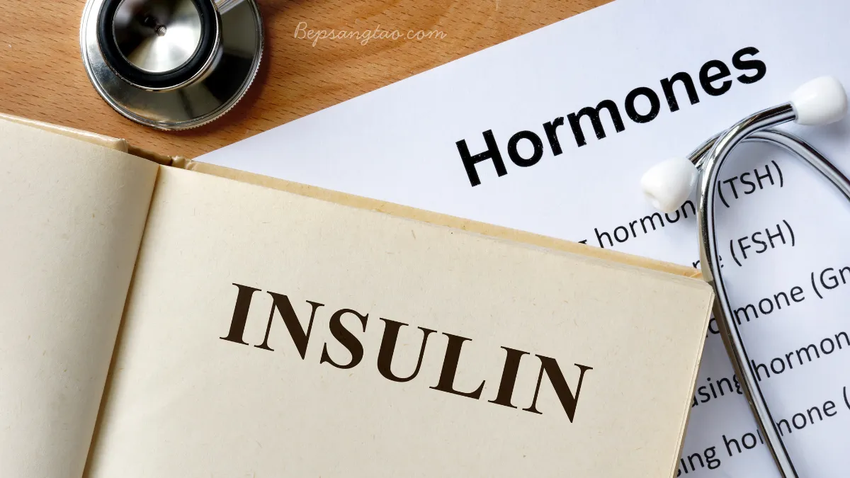 Insulin – Hormone kiểm soát đường huyết và chuyển hóa năng lượng của cơ thể