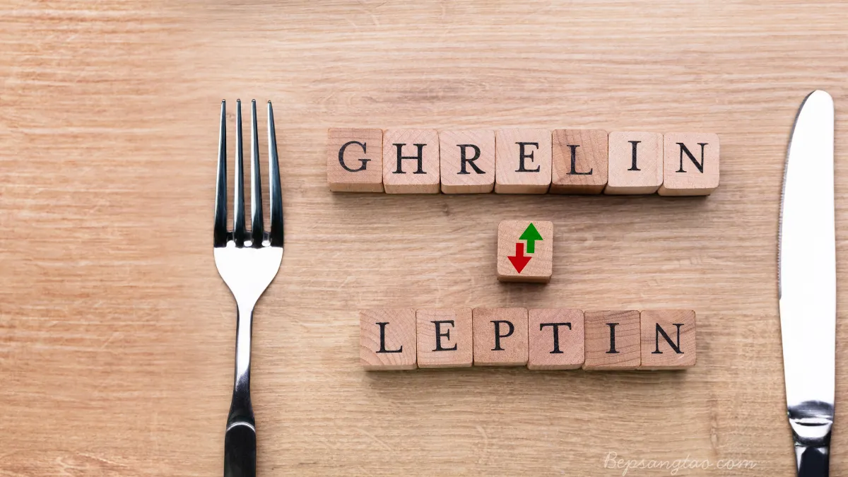Leptin và Ghrelin – Hai hormone quyết định cảm giác đói và no