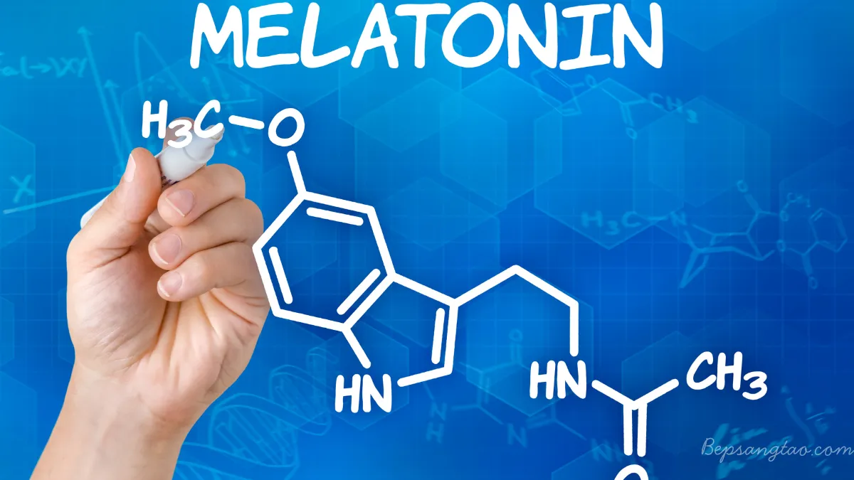 Melatonin – Hormone Giấc Ngủ