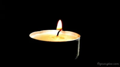 nến tealight
