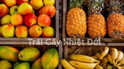 trái cây nhiệt đới